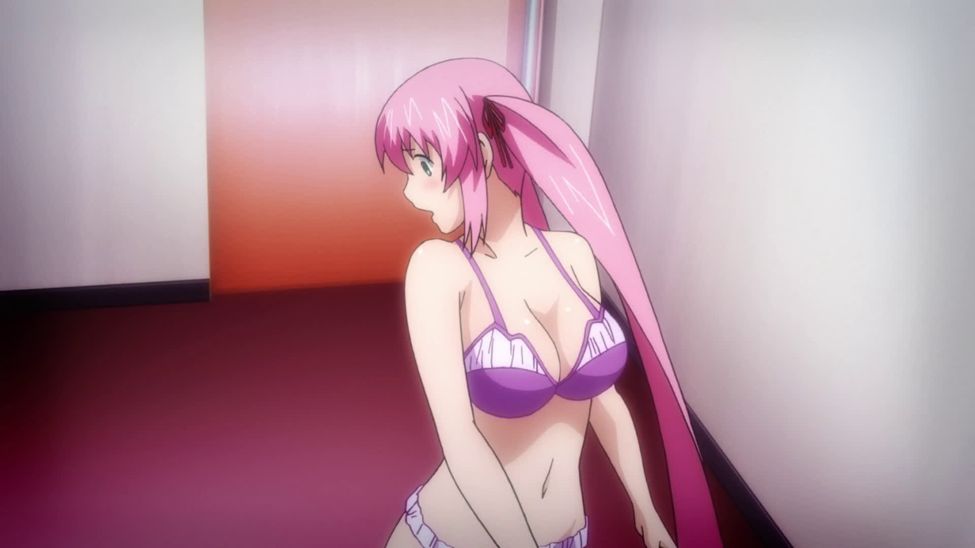 [wizardofecchi] Hagure Yuusha Fanservice AMV