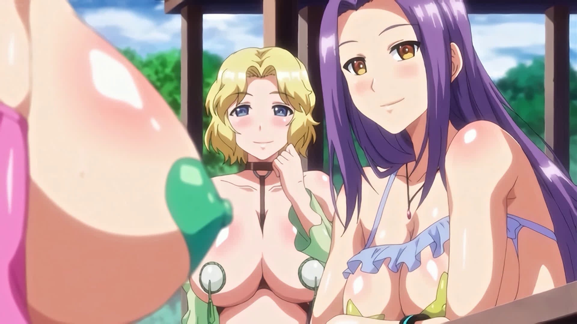 [HentaiHaver] Party Land